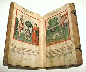 Tacuinum sanitatis ca.  1450