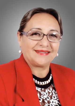 <span class="mw-page-title-main">Irma Ledezma</span> Bolivian politician (born 1959)