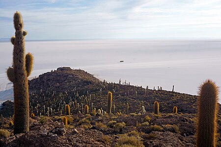 View of the Salar de Uyuni in Incahuasi island, Bolivia.