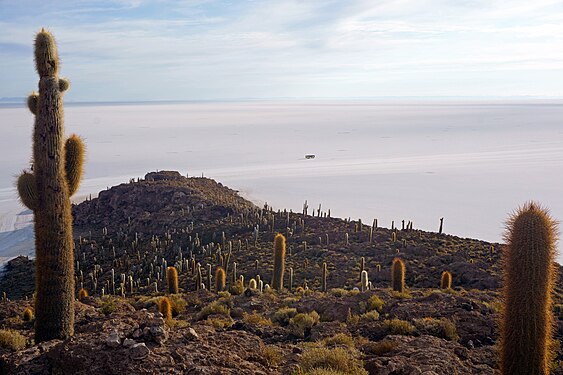 Isla Incahuasi, Salar de Uyuni