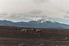 Hekla