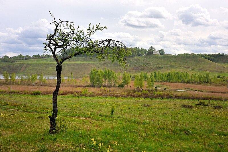 File:Izborsk Valley. landscapes12.jpg