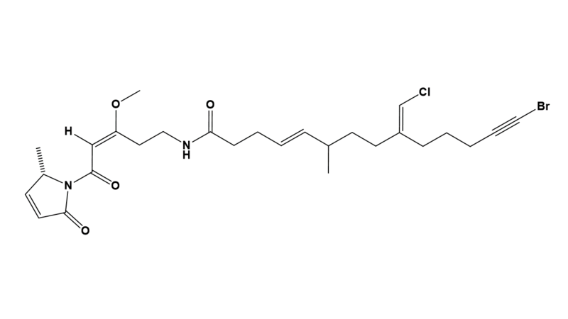 File:JAMAICAMIDE A.png