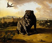 "A Dutch Mastiff (called 'Old Vertue') with Dunham Massey in the Background" (Jan Wyck, 1700)