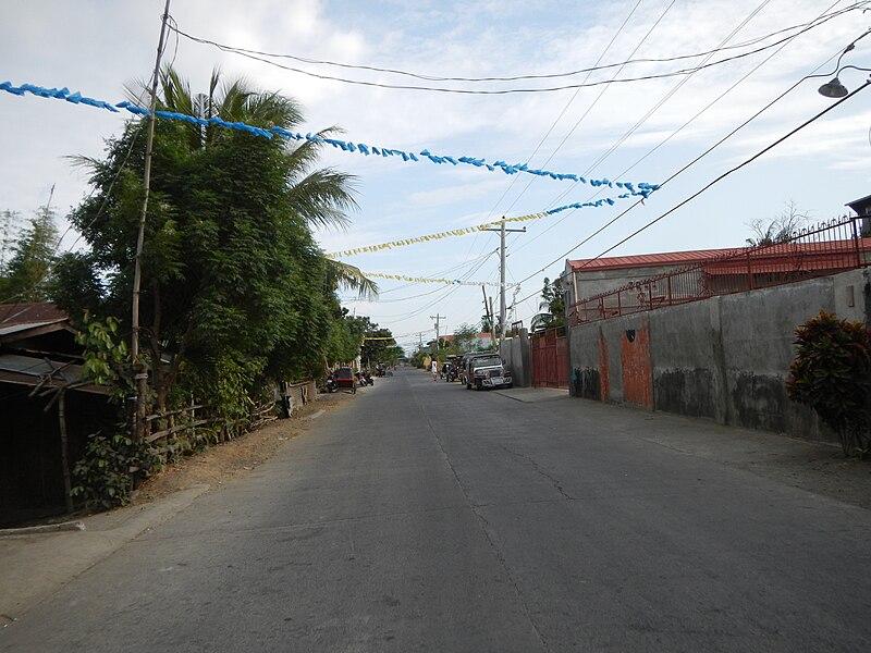 File:Jf798Santa Teresita Roads Nueva Ecijafvf.JPG