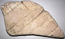 Jointed limestone (Big Hill Formation, Upper Ordovician; Hinkin's Hill roadcut, Stonington Peninsula, Upper Peninsula of Michigan, USA) 1.jpg