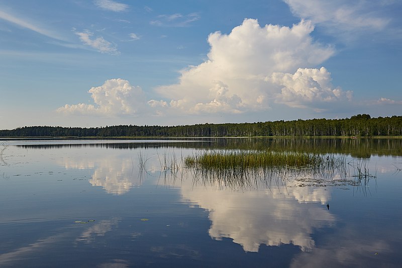 File:Kaisma järv 2018 01.jpg