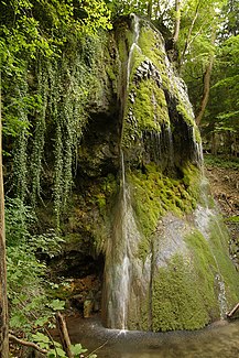 Gos-Wasserfall, wachsender Kalktuff
