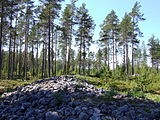 Kastellin Jatinkirkko 20090627.JPG