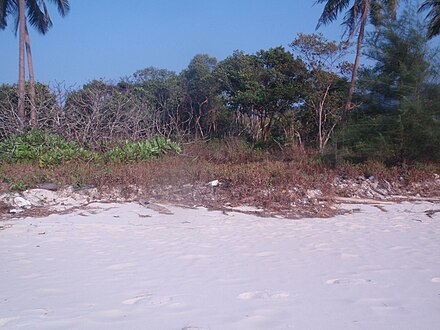 Nice beaches with  white sand