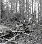 Dřevorubci; Šumava; kolem roku 1890