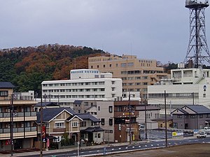 Kyosai hospital051129.jpg
