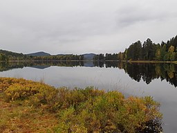 Bilden visar den södra delen av Långsjön