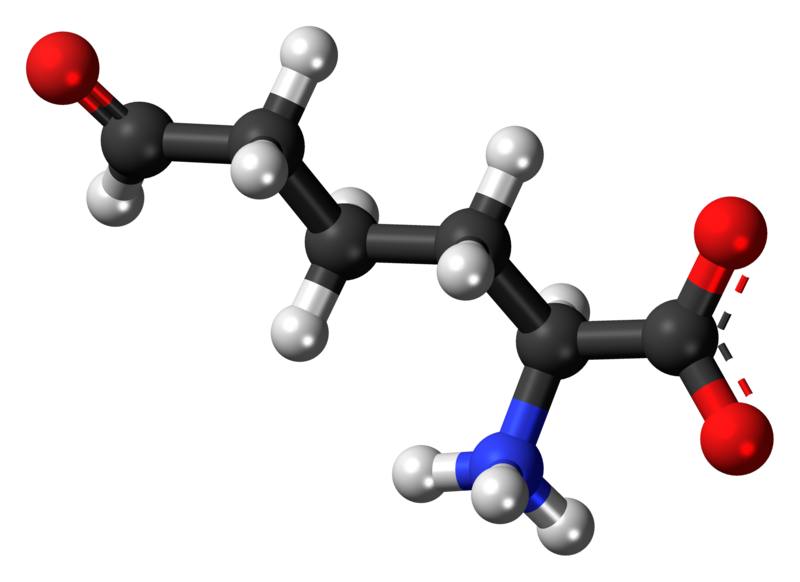 File:L-Allysine-zwitterion-3D-balls.png