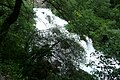 Français : La Sorgue le 31 mai 2008 avec 1,53 mètres de hauteur, La Fontaine de Vaucluse.