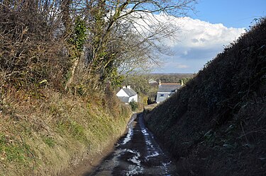 Lane approaching Tredodridge Lane to Tre-Dodridge - geograph.org.uk - 1733881.jpg