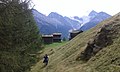 Lerchji auf 1798 m ü. M., im Hintergrund Riedgletscher und Nadelgrat