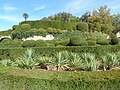 Les jardins de Marqueyssac - 23.jpg