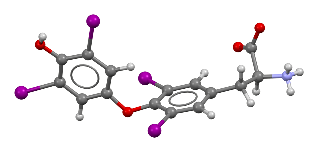 Levothyroxine