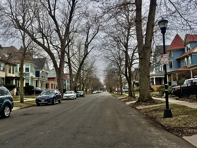 File:Lexington Avenue, Elmwood East Historic District, Buffalo, New York - 20200319.jpg