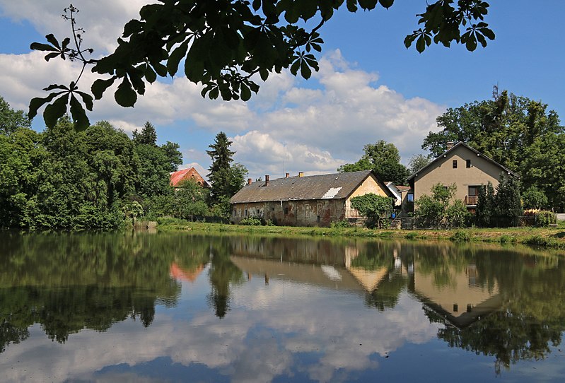 File:Loštice, Žádlovice, lower pond.jpg