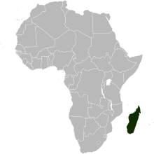 Madagascar lies off the east coast of Africa Locator map of Madagascar in Africa.svg