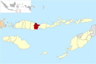 Nagekeo Regency Regency in Lesser Sunda Islands, Indonesia