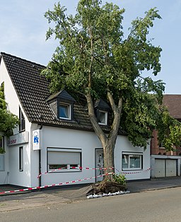 Mülheim an der Ruhr Heißen Sturmschäden Juli 2014 003