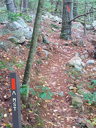 <span class="mw-page-title-main">Mid State Trail (Pennsylvania)</span>