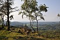 Die Aussicht vom Gipfel reicht im Westen über die Sächsisch-Böhmische Schweiz bis hin zum Osterzgebirge.