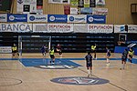 Miniatura per Lliga espanyola de futbol sala femenina