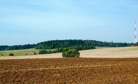 Рельеф беларуси. Гора Маяк. Рельеф Белоруссии. Минская возвышенность. Минская возвышенность фото.