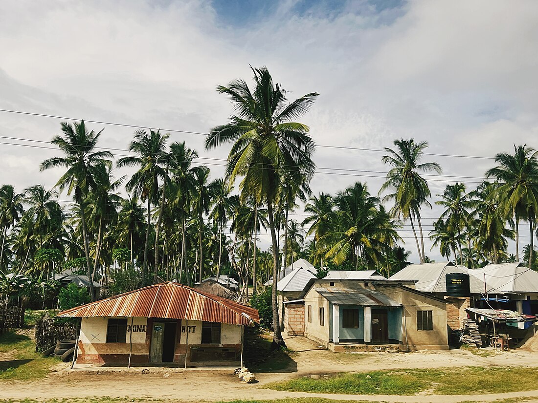 Lindi District, Lindi