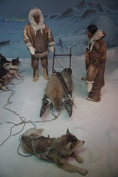 File:Milwaukee Public Museum December 2022 07 (Arctic--Return from the Hunt- Netsilik Inuit).jpg