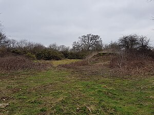 Mitcham Common