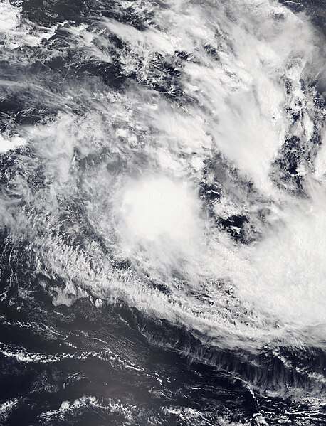 File:Mona 2019-01-06 Suomi NPP.jpg