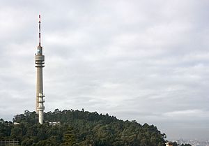 Vila Nova De Gaia: História do município, Geografia, Demografia