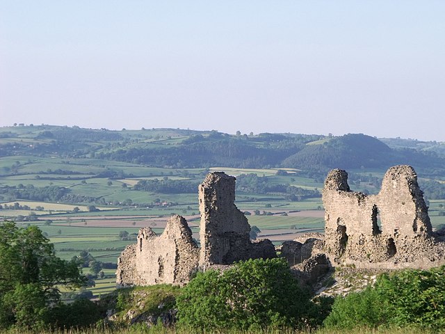 Image: Montgomery Castle   geograph.org.uk   1923084