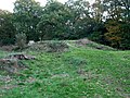 Mound that is part of the putatively prehistoric earthworks on West Wickham Common, located between West Wickham and Hayes.