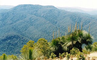 Mount Allyn mountain in Australia