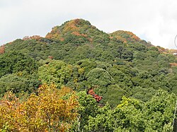 Mount Shigi1.jpg
