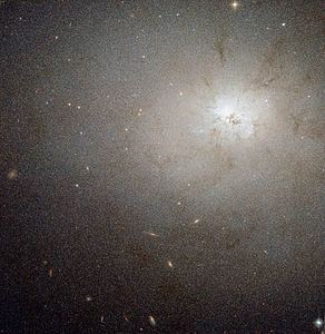 NGC 3077 (HST).jpg