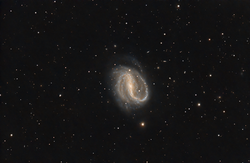 NGC 7479 Seyfert an LINER barred spiral galaxy in Pegasus