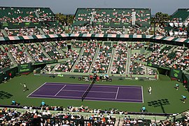 Nadal Del Potro Miami 2009.jpg