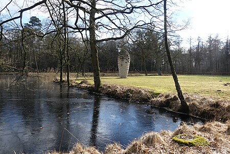 Natuurgebied De Duiventoren P1130225.jpg