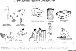 Schematische Darstellungen neolithisch landwirtschaftlicher Tätigkeiten. Zeichnungen realer, gefundener Werkzeuge (archäologische Funde) und Aktivitäten von ägyptischen Wandmalereien.