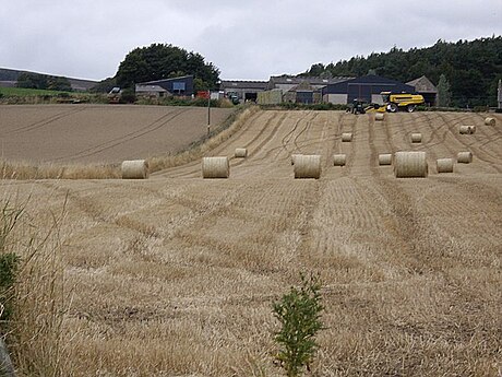 Balfour (Aberdeenshire)