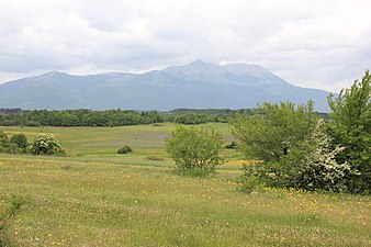 Невесињско поље (870÷800 m.n.m.)