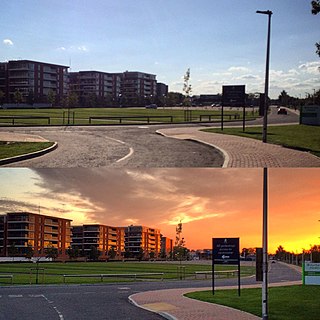 Golden hour (photography) First and last hour of sunlight during the day