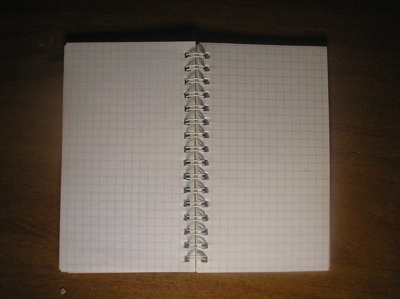 File:Notepad on the clear page.JPG